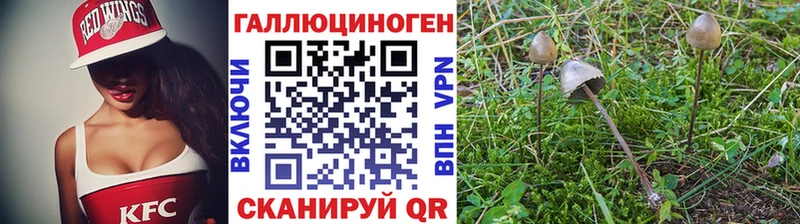 Псилоцибиновые грибы мухоморы Усинск