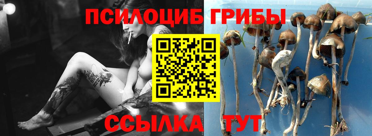 Псилоцибиновые грибы мухоморы Усинск